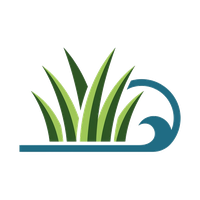 Tampa Turf Installation